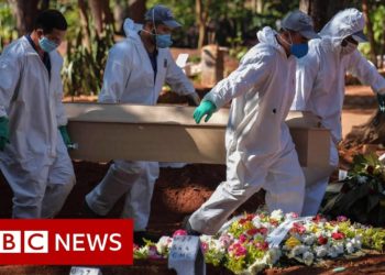 Coronavirus: Brazil's daily death toll hits 1,000 for first time – BBC News