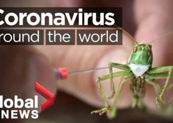 Coronavirus around the world: May 23, 2020