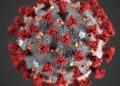 Coronavirus live news and updates from around the world