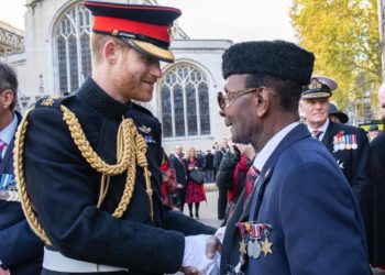 The 95-year-old war veteran following in the footsteps of Tom Moore to raise money for frontline workers