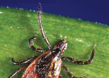 Impact of climate and public health interventions on the COVID-19 pandemic: a prospective cohort study