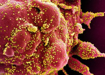 Plasma transfusions boost survival of coronavirus patients, study says