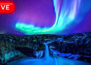 ? Sleep Music 24/7, Relaxing Music, Insomnia, Sleep Meditation, Calm Music, Study Music, Zen, Sleep