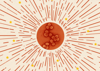 How China Is Winning the Propaganda War