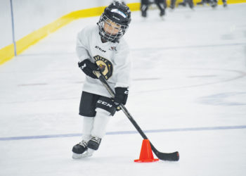 Phase 1: One sheet of ice | News, Sports, Jobs