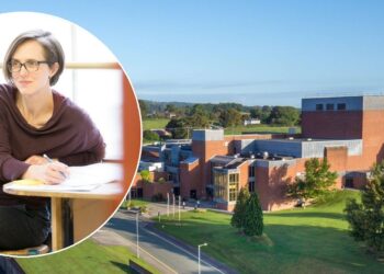 Theatr Clwyd boss says there is ‘very real danger’ venues will be lost to COVID-19