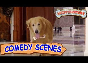 Akshay Kumar Trying To Kill The Dog- Comedy Scenes | Entertainment | Hindi Film