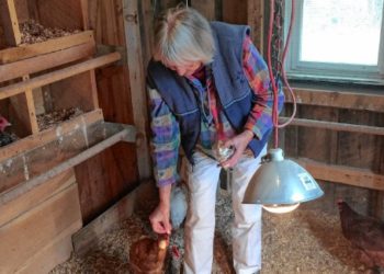 Athol Daily News – Pandemic report: ‘My new, up-close friends’