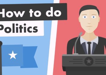How To Do Politics