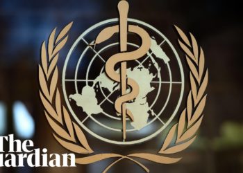 Coronavirus: WHO holds daily news briefing – watch live