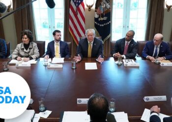 President Donald Trump holds a cabinet meeting | USA TODAY