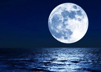 Sleep Music 24/7, Sleep Meditation, Relaxing Music, Calm Music, Study Music, Zen, Sleep, Insomnia