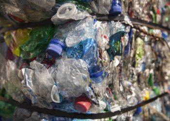 Coronavirus: Marin County health officials issue warnings after outbreak at waste company