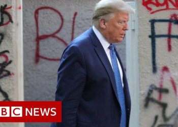 The Republicans, the protests and the President – BBC News