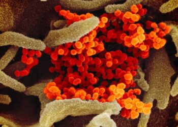 Latest news from around the world