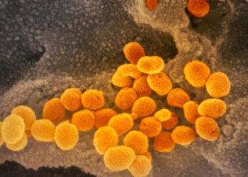 Coronavirus news and live updates from around the world.