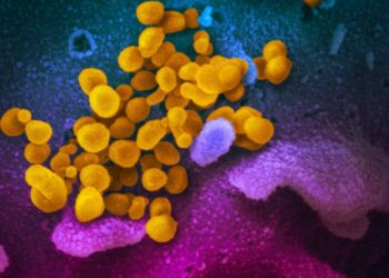 Coronavirus news and live udates from around the world