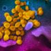 Coronavirus news and live udates from around the world