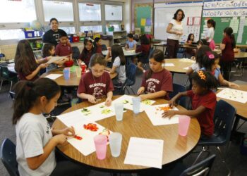 The calm before the storm in local education politics