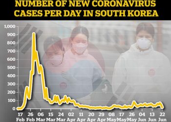 South Korea confirms second wave of Covid-19 as health minister warns of a ‘grave situation’