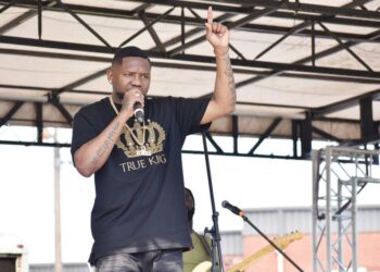 Familiar faces return for Blues in the Park | Arts & Entertainment