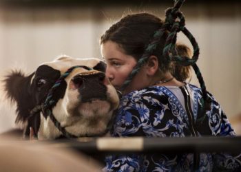 Modifications made to Colorado State Fair | Arts & Entertainment