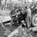 From the Archives, 1950: War declared in Korea