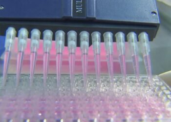 TN Dept. of Health will not release new COVID-19 numbers Sunday due to database system shutdown