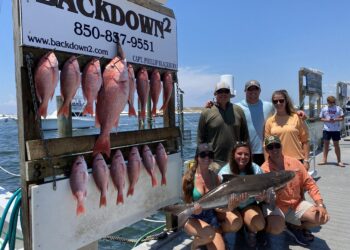 FISH FLASH: Always a tale to tell – Sports – Northwest Florida Daily News