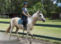 Horse camp in Waimanalo provides summer entertainment option for kids