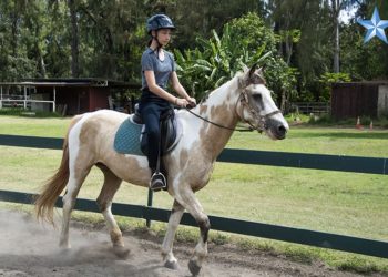 Horse camp in Waimanalo provides summer entertainment option for kids