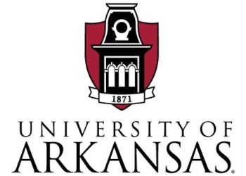 Virtual Suzuki Music Camp Ready for Summer Students