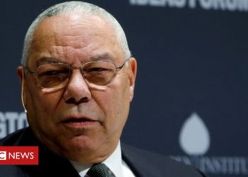 Trump ‘drifted away’ from constitution, says ex-military chief Colin Powell