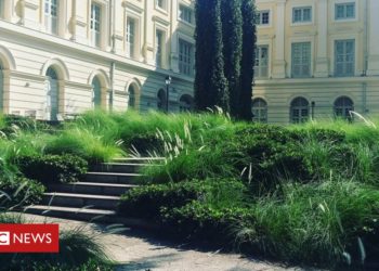 Coronavirus in Singapore: The garden city learning to love the wild