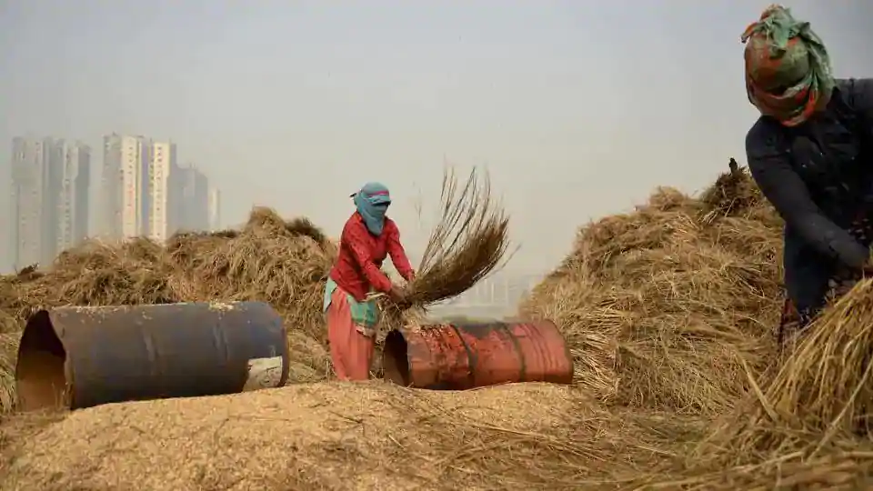 Can politics shape revival of economy after Covid-19? – india news