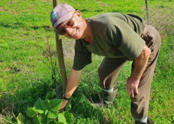 Tug-of-war fan desperate to keep sport alive – ‘It’s weightlifting lying down’