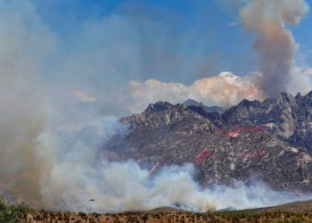 Wildfires rage across the southwestern US | USA News