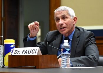 Top US health official Fauci warns of ‘disturbing’ new US surge