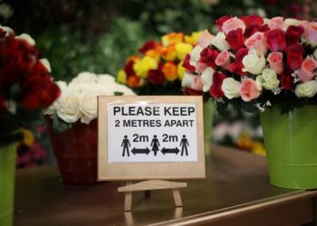 England to Reopen Cinemas, Museums and Galleries From July 4 | World News