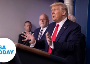 White House addresses coronavirus, stimulus package still held in Senate | USA TODAY