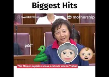 GE2020: Lee Bee Wah will be retiring from politics