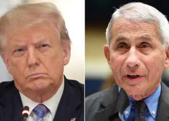 White House takes aim at Fauci as he disagrees with Trump on virus