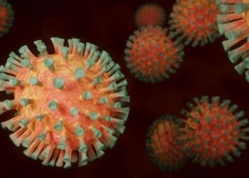 Health officials announce 177 new coronavirus cases and 17 deaths, bringing confirmed death toll to 8,201 – Boston News, Weather, Sports