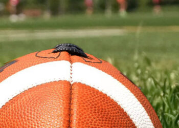 SDHSAA approves fall sports season; schools to decide about fans