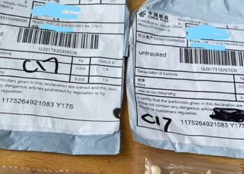 Unsolicited packets of seeds may be mailed from China, states warn