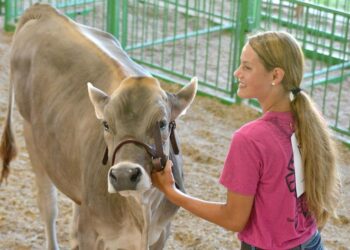 Contestants show out at Supreme Showmanship