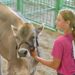 Contestants show out at Supreme Showmanship