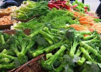 Wellsboro Grower’s market is open today | Entertainment
