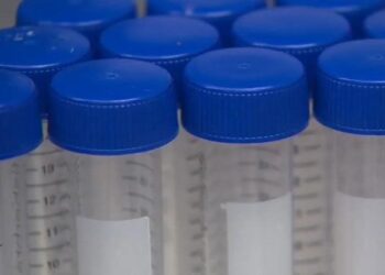 Oregon Health Authority reports five additional COVID-19 deaths, 307 new cases | News