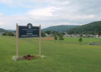 Pitt-Bradford AD reacts to fall sports postponement | Olean